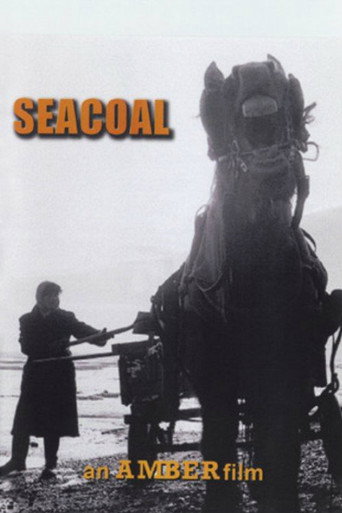 Póster de Seacoal