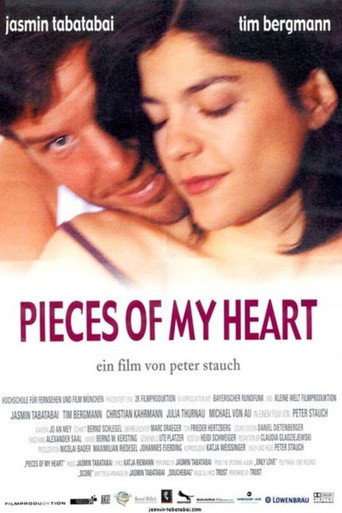 Póster de Pieces of My Heart