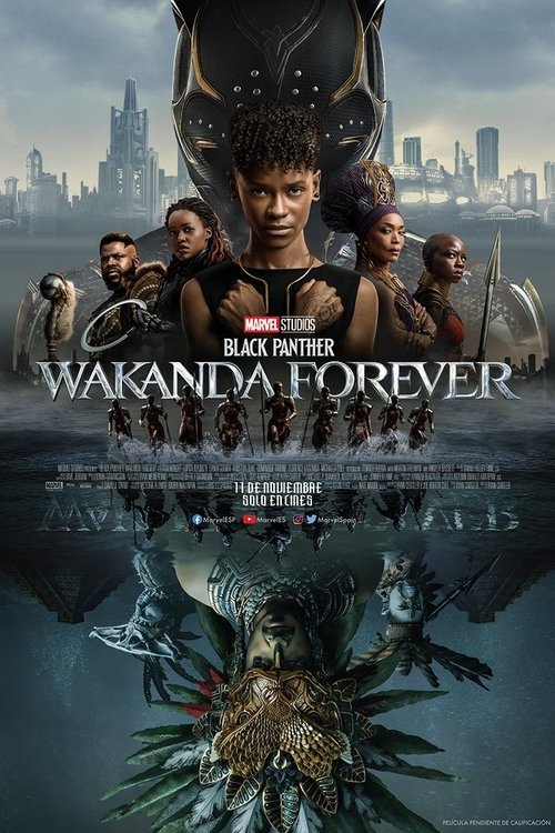 Póster de Pantera Negra: Wakanda por siempre