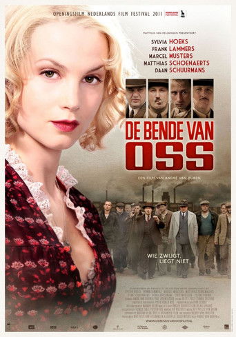 Póster de De bende van Oss