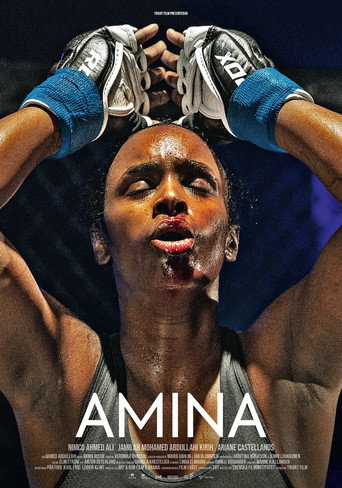 Póster de Amina