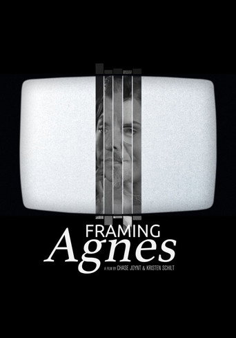 Póster de Framing Agnes