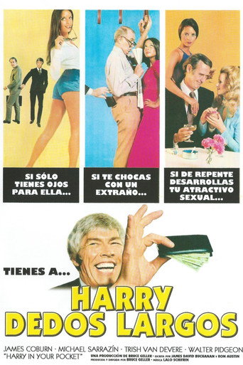Póster de Harry in Your Pocket