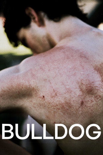 Póster de Bulldog
