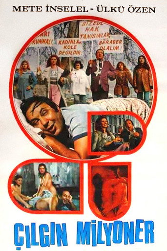 Póster de Çılgın Milyoner