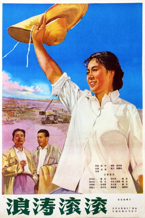 Póster de 浪涛滚滚