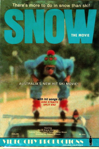 Póster de Snow: The Movie