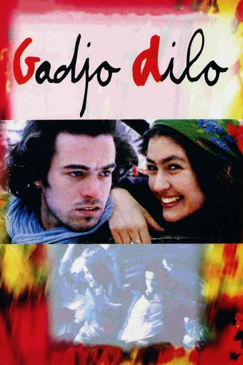 Póster de Gadjo Dilo