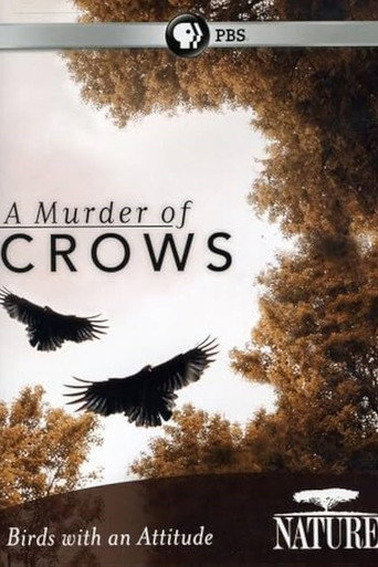 Póster de A Murder of Crows