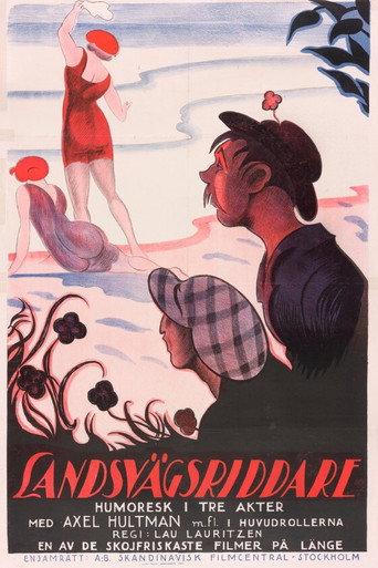 Póster de Landsvägsriddare