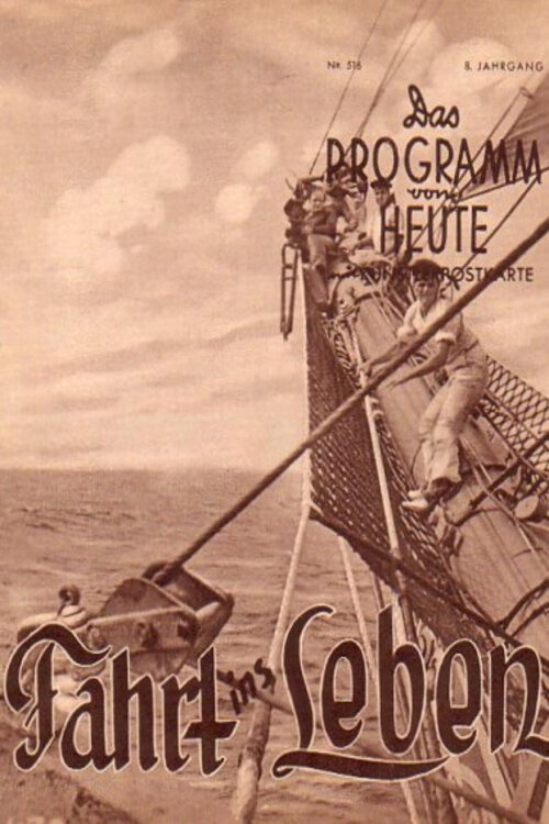 Póster de Fahrt ins Leben