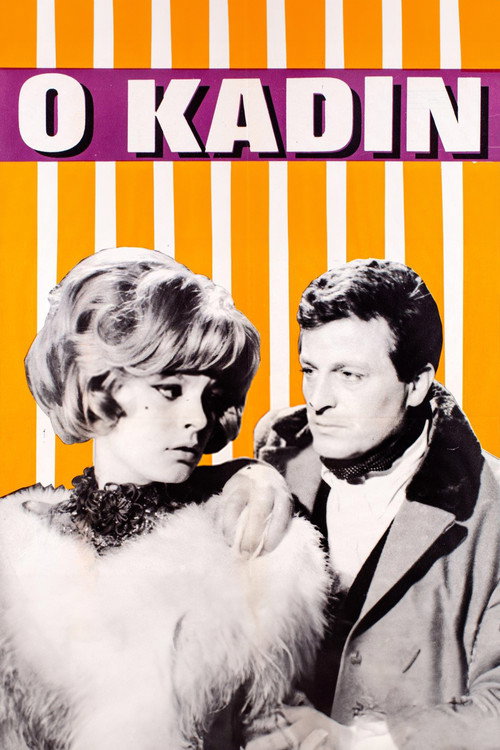 Póster de O Kadın
