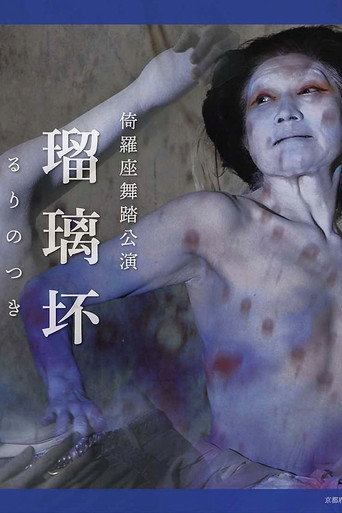 Póster de 瑠璃坏るりのつき