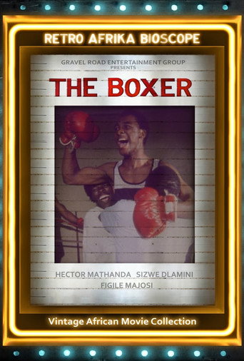 Póster de The Boxer