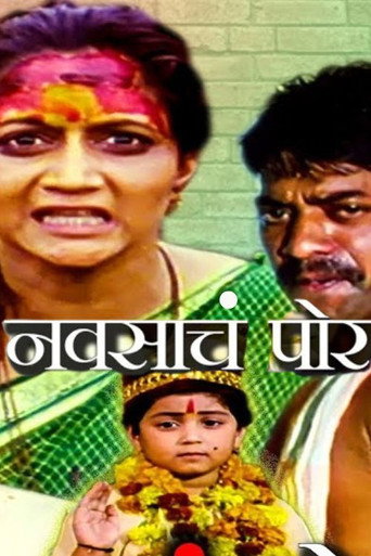 Póster de नवसाचं पोर