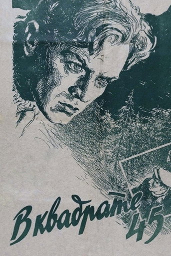 Póster de В квадрате 45