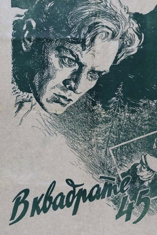 Póster de В квадрате 45