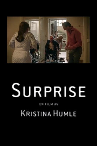 Póster de Surprise