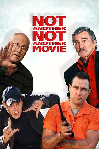 Póster de Not Another Not Another Movie