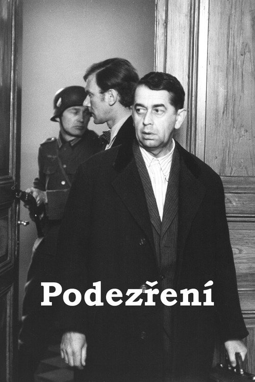 Póster de Podezření