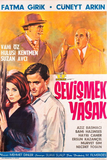 Póster de Sevişmek Yasak