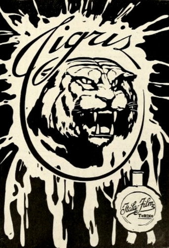 Póster de Tigris
