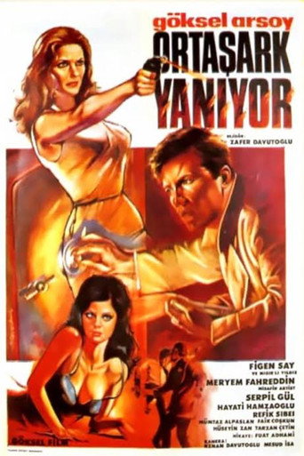 Póster de Ortaşark Yanıyor