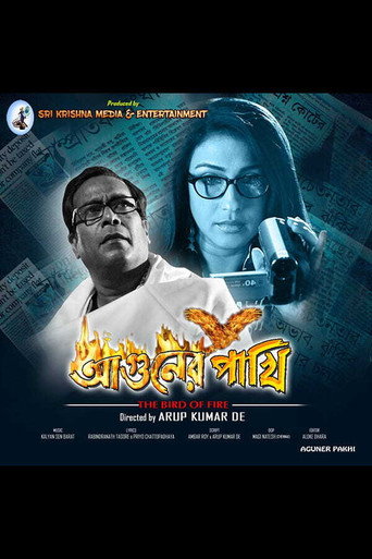 Póster de Aguner Pakhi