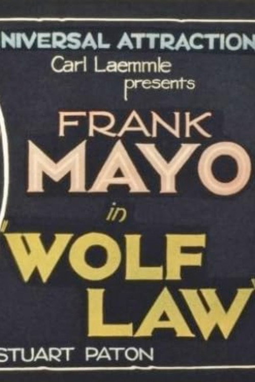 Póster de Wolf Law