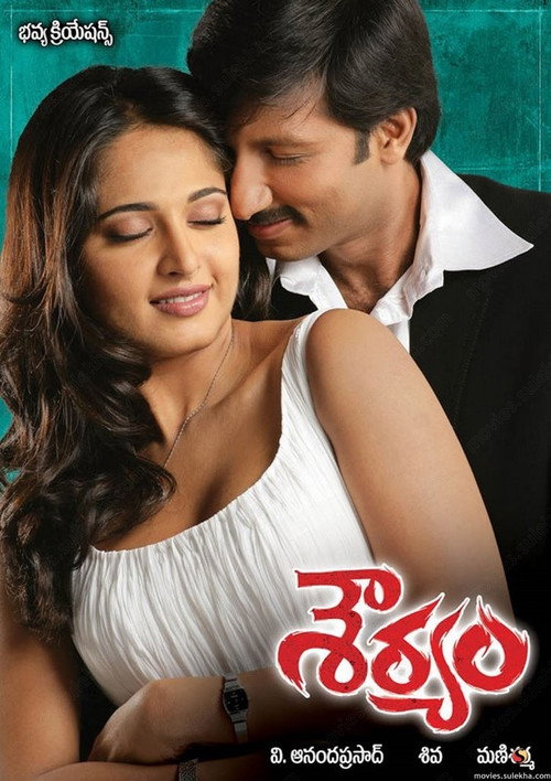 Póster de శౌర్యం