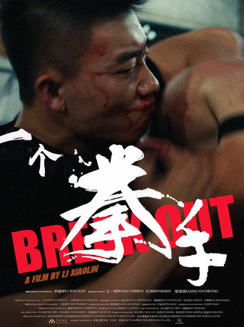 Póster de 一个拳手