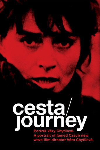 Póster de Cesta – portrét Věry Chytilové