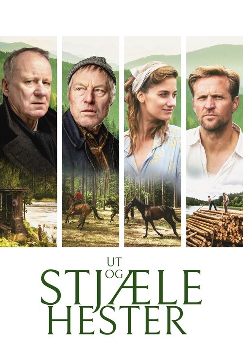 Póster de Ut og stjæle hester
