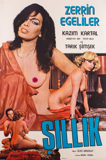 Póster de Şıllık