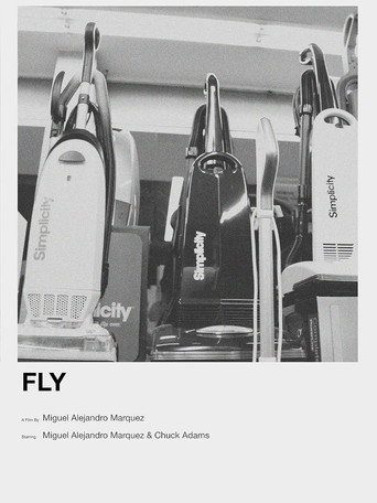 Póster de Fly