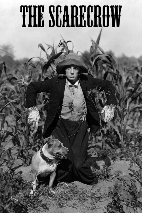 Póster de The Scarecrow