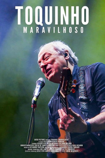 Póster de Toquinho Maravilhoso