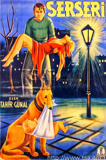 Póster de Serseri