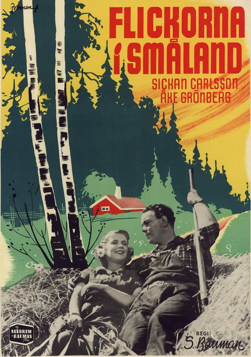 Póster de Flickorna i Småland