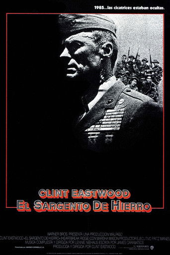 Póster de El guerrero solitario