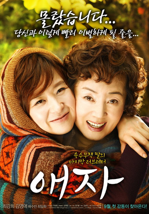 Póster de 애자