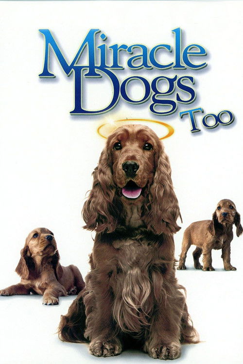 Póster de Miracle Dogs Too