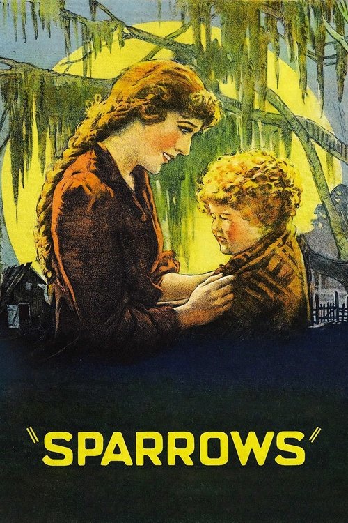 Póster de Sparrows