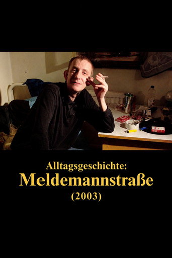 Póster de Alltagsgeschichte – Meldemannstraße 25-27