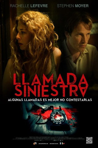 Póster de The Caller