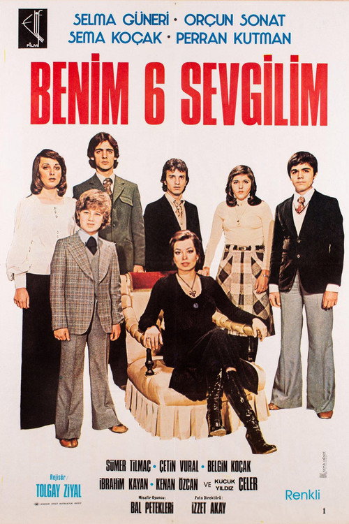 Póster de Benim 6 Sevgilim