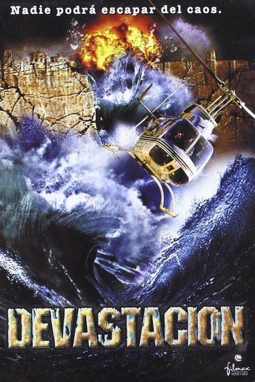Póster de Disaster