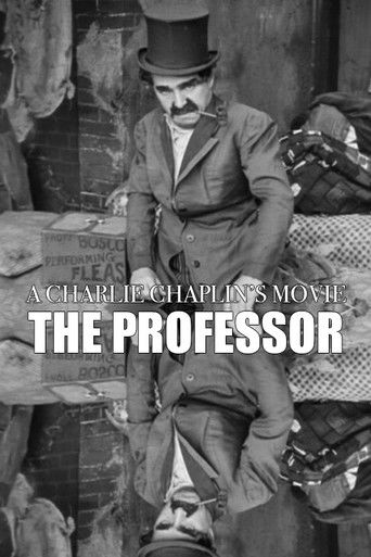 Póster de The Professor
