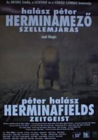 Póster de Herminamező - Szellemjárás