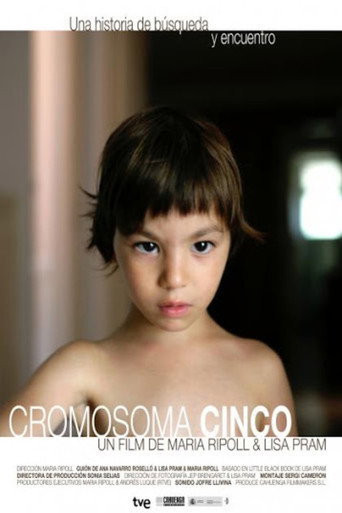 Póster de Cromosoma Cinco